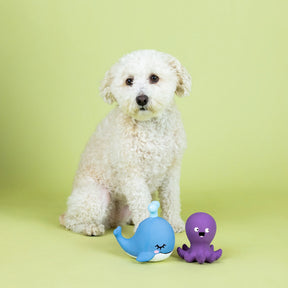 Petshop by Fringe Studio - Dog Toy 2 Pc Set Happy to Sea Latex