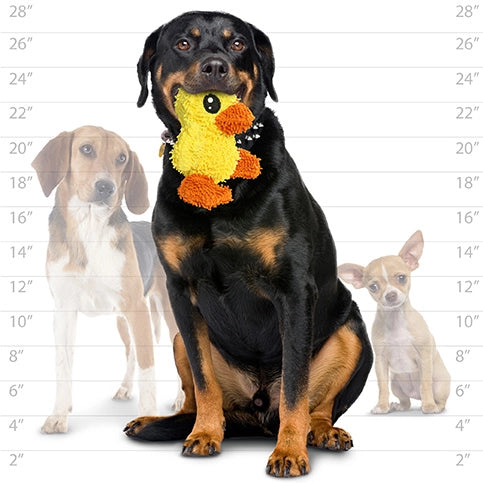 Tuffy Dog Toys - Mighty Microfiber Ball Medium Duck Squeaky Durable Toy