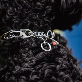 Coastal - Hs Prong Dog Collar Ss Center-Plate/Assembly Chain/Swivel
