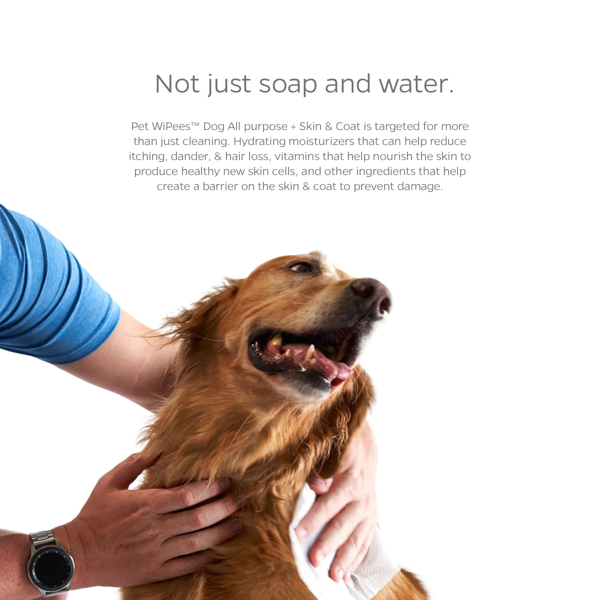 Pet Parents - Pet WiPees Dog All Purpose+ Skin & Coat