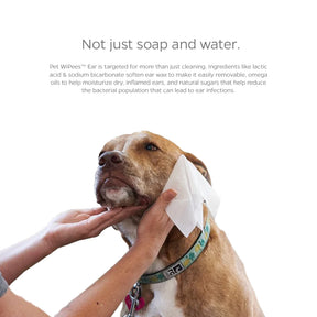 Pet Parents - Pet WiPees Ear