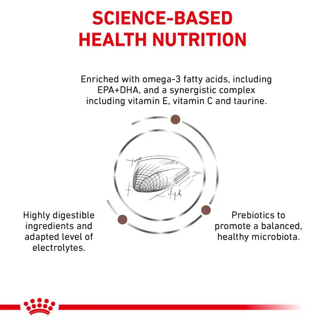 Royal Canin Veterinary Diet - Gastrointestinal Hydrolyzed Protein Cat Food - Southern Agriculture 