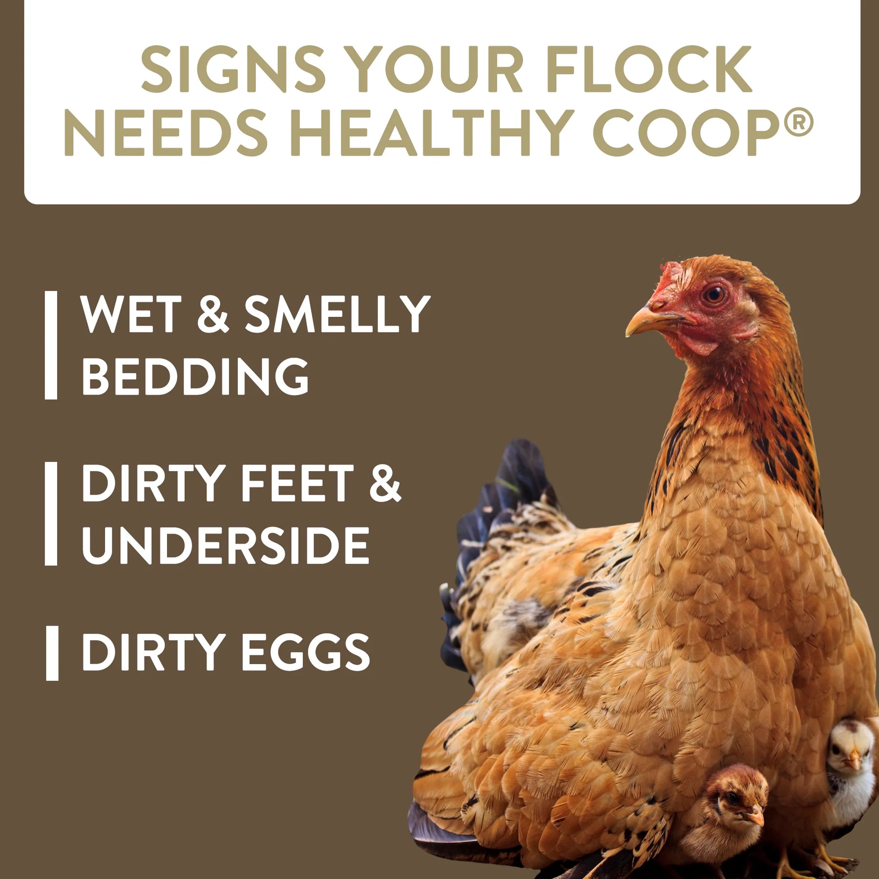Perdue - Flock Leader Healthy Coop for Chickens