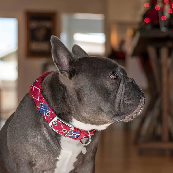 Blueberry Pet - Merlot Red Scottish Argyle | Sherpa Fleece Padded Dog Collar