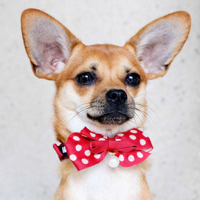 Blueberry Pet - Red | The Most Coveted Dog Collar with Bowtie & Pearl
