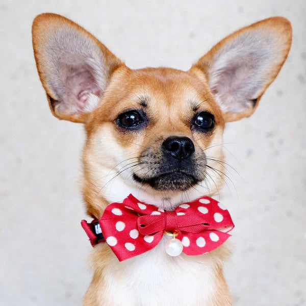 Blueberry Pet - Red | The Most Coveted Dog Collar with Bowtie & Pearl