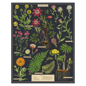 Cavallini & Co. - Puzzle Herbarium