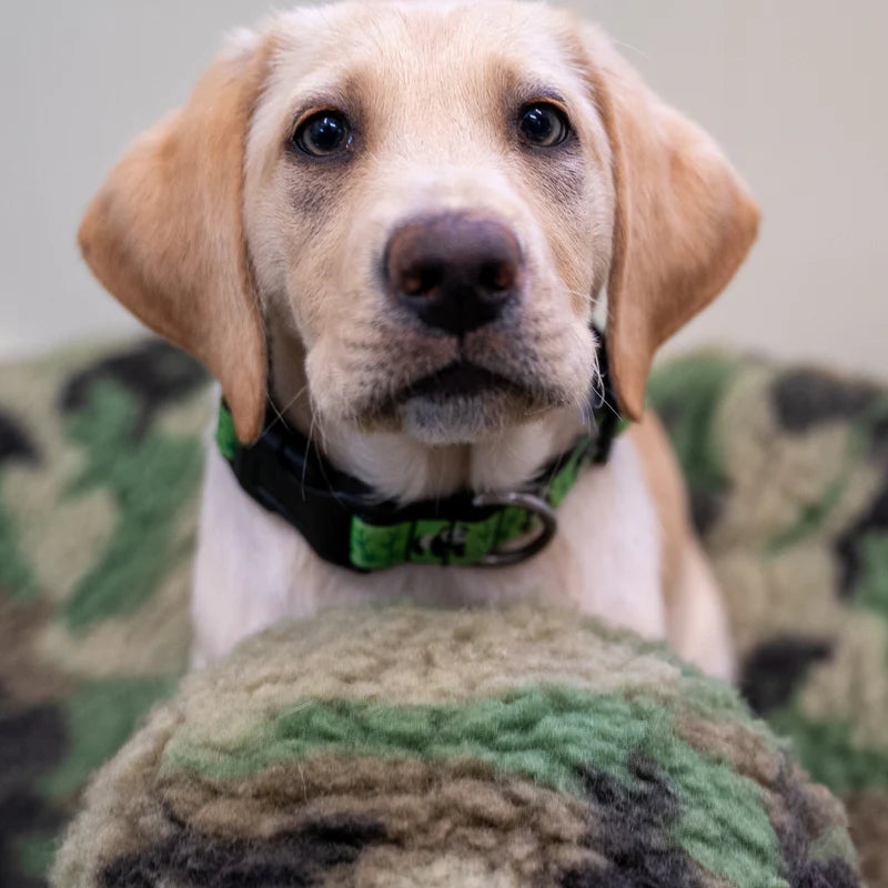 HuggleHounds - Camouflage HuggleFleece Ball Warrior Canine Connection