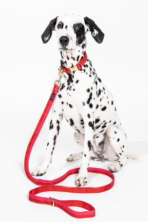Kate Spade - Dog Leash Red And Pink