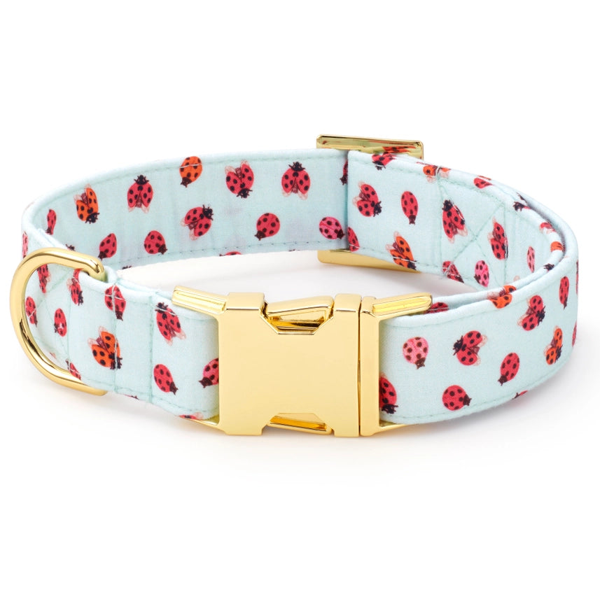 The Foggy Dog - Dog Collar Love Bug