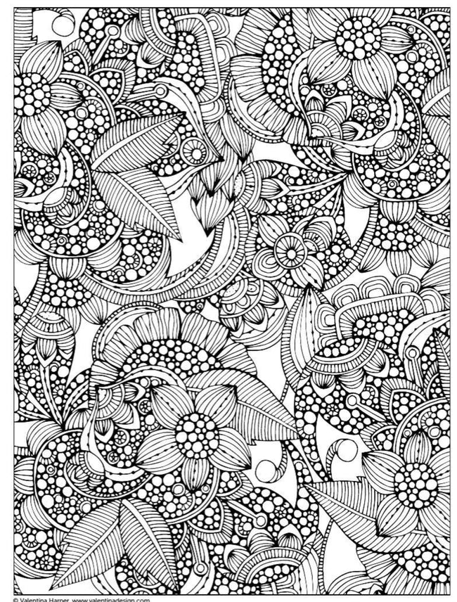 Wellspring- Coloring Book - Creative Coloring Flowers