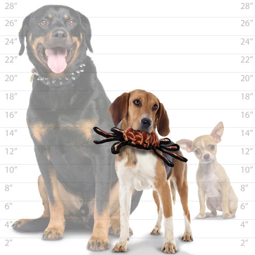 Tuffy Dog Toys - Tuffy Desert Spider