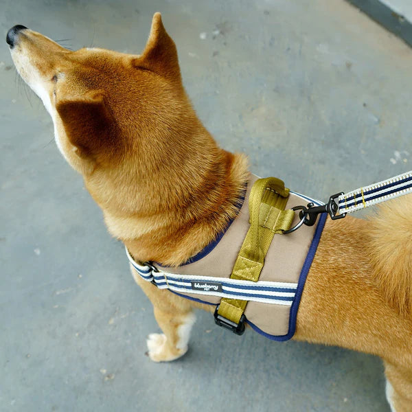 Blueberry Pet - Olive and Blue-gray | Service K-9, 3M Reflective Dog Harness
