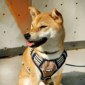Blueberry Pet - Dog Harness Olive & Blue Gray 3M Multi Colored