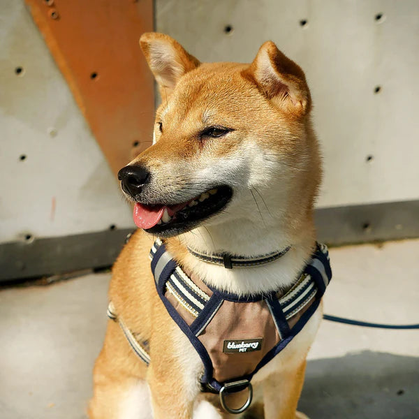 Blueberry Pet - Dog Harness Olive & Blue Gray 3M Multi Colored