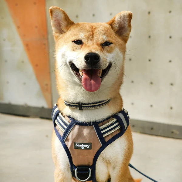 Blueberry Pet - Dog Harness Olive & Blue Gray 3M Multi Colored