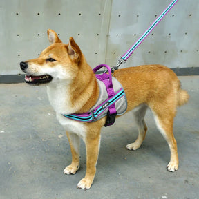 Blueberry Pet - Violet and Celeste | Service K-9, 3M Reflective Dog Harness