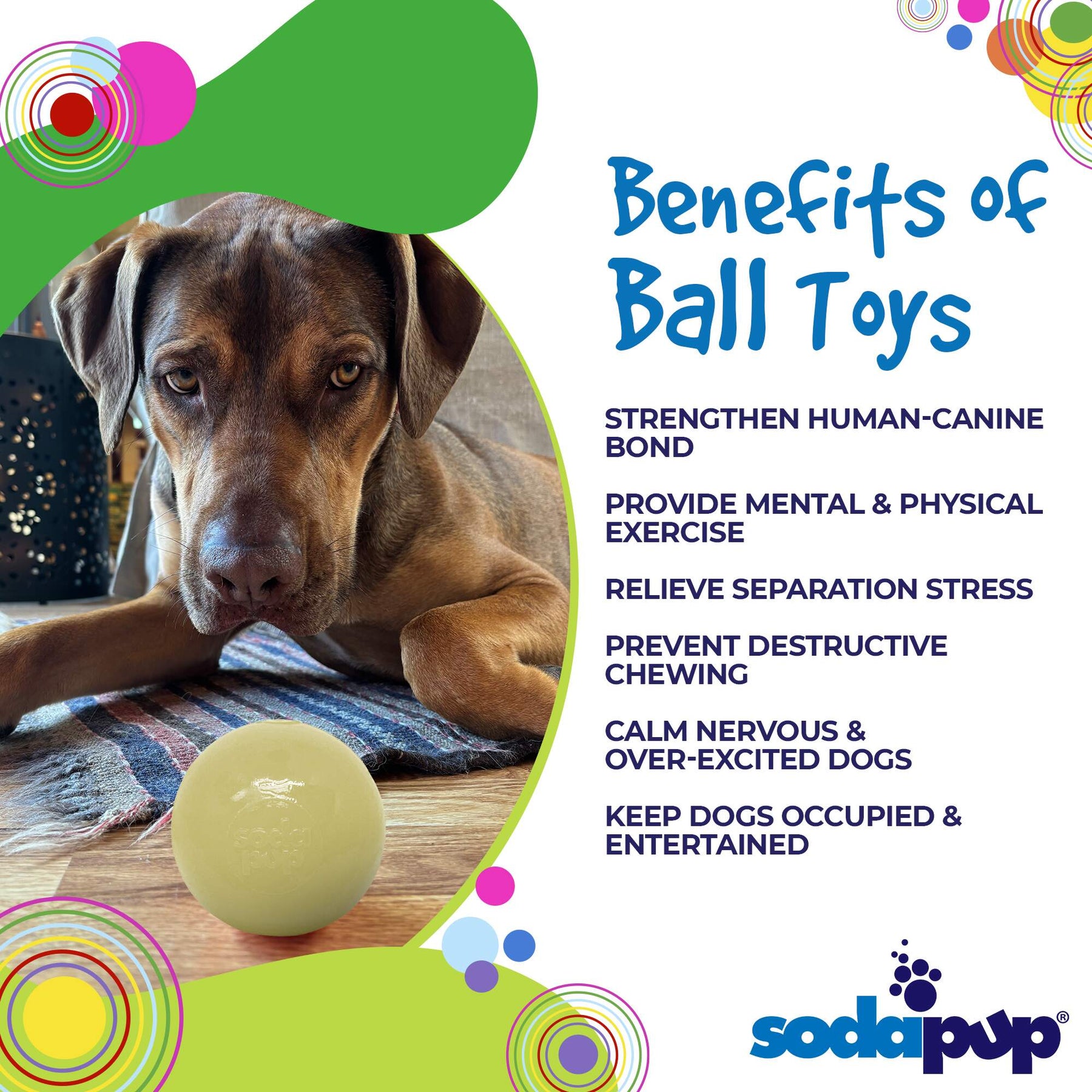 Ultra Durable PUP-X Squeak Ball