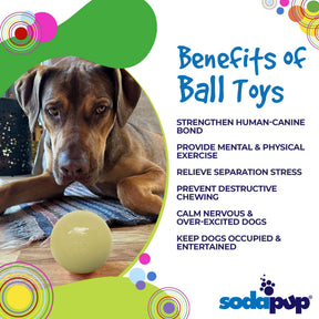 Ultra Durable PUP-X Squeak Ball