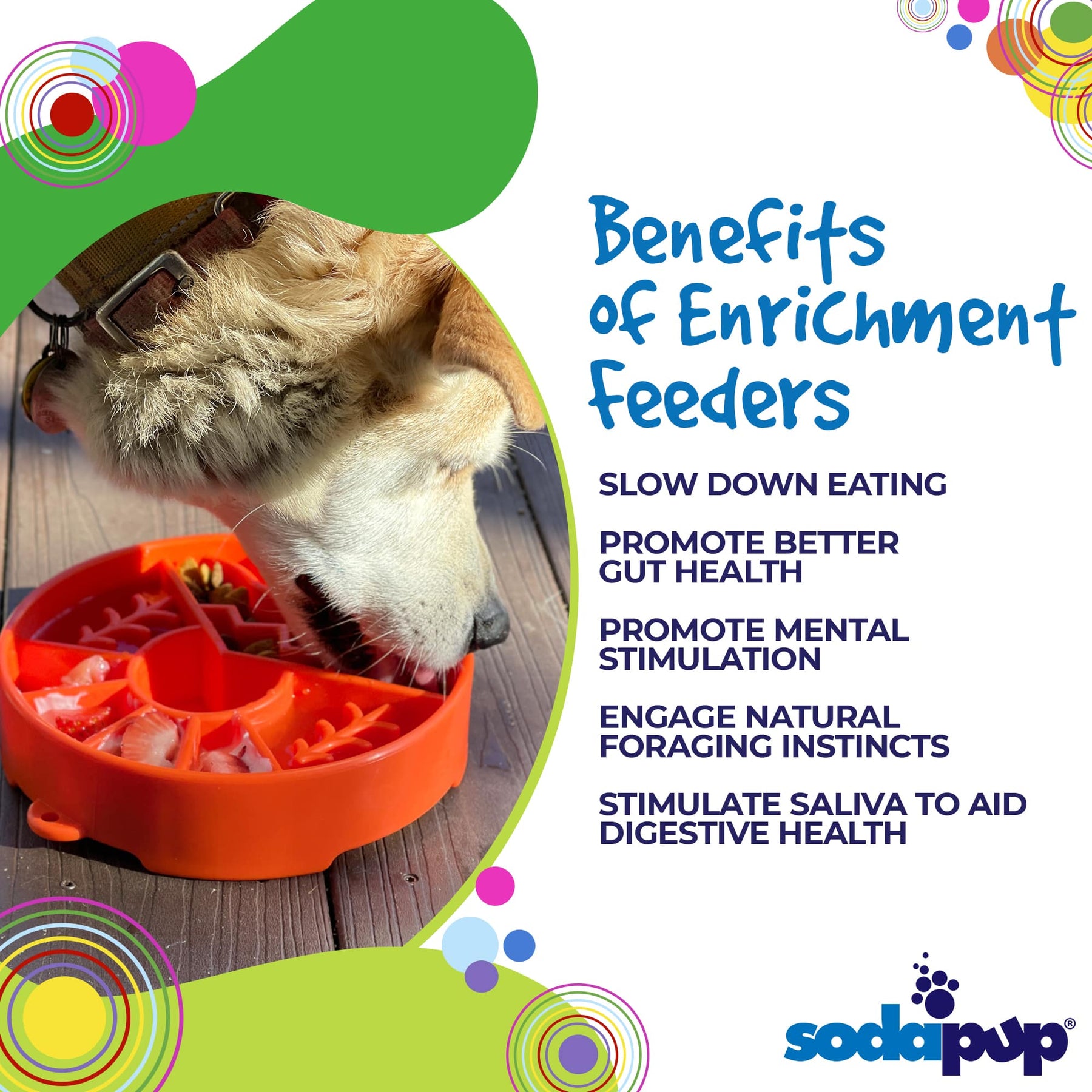 SodaPup - eBowl Enrichment Slow Feeder Dog Bowl - Great Outdoor Design