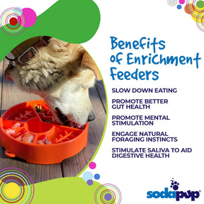 SodaPup - eBowl Enrichment Slow Feeder Dog Bowl - Great Outdoor Design