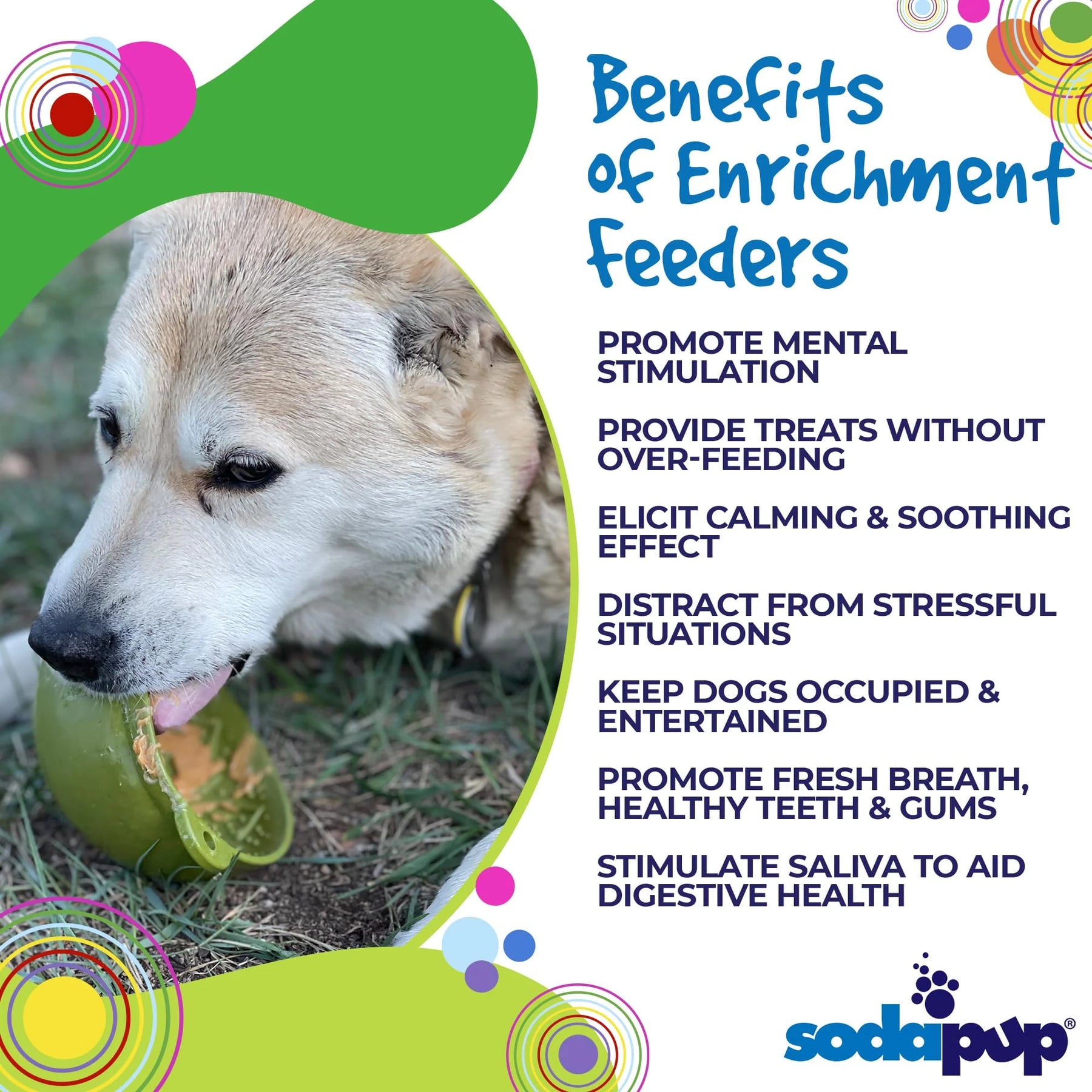 SodaPup - Enrichment Lick Mat Bowl Garden of Eatin'