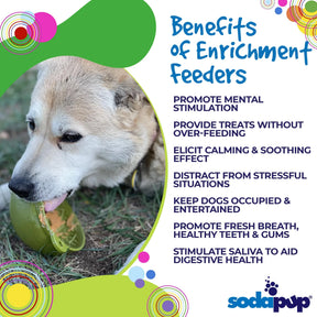 SodaPup - Enrichment Lick Mat Bowl Garden of Eatin'