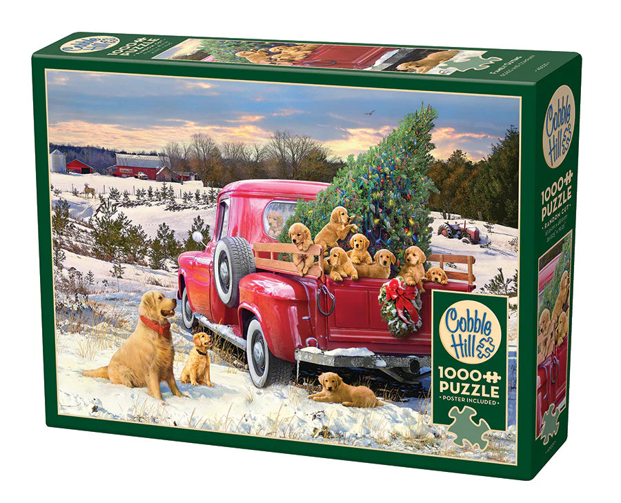 Outset Media - Puzzle: Family Outing