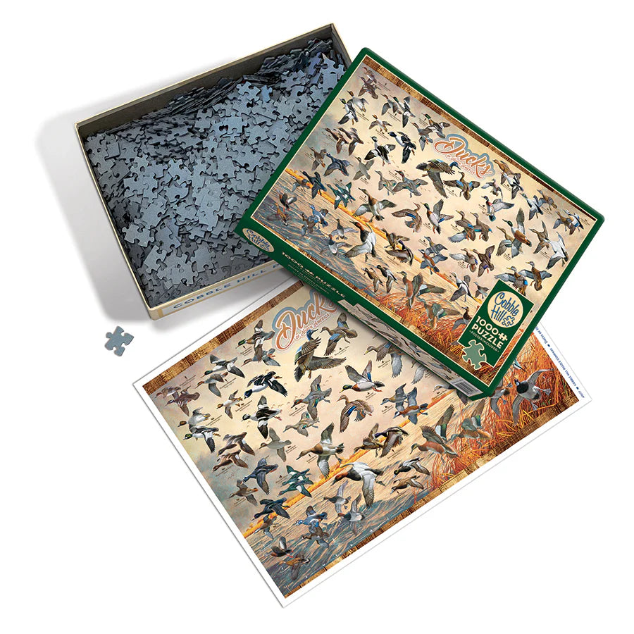 Outset Media - Puzzle: Ducks of North America