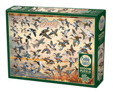 Outset Media - Puzzle: Ducks of North America