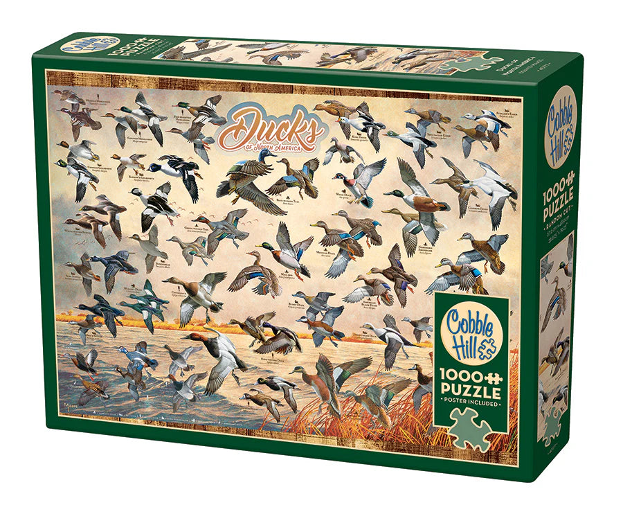 Outset Media - Puzzle: Ducks of North America