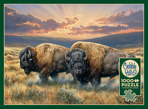 Outset Media - Puzzle: Dusty Plains (1,000 Piece)