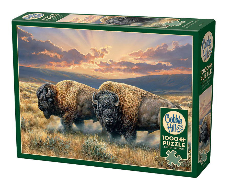 Outset Media - Puzzle: Dusty Plains (1,000 Piece)