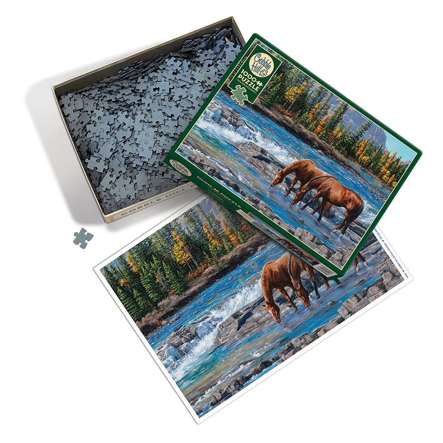 Outset Media - Puzzle: On the Rocks