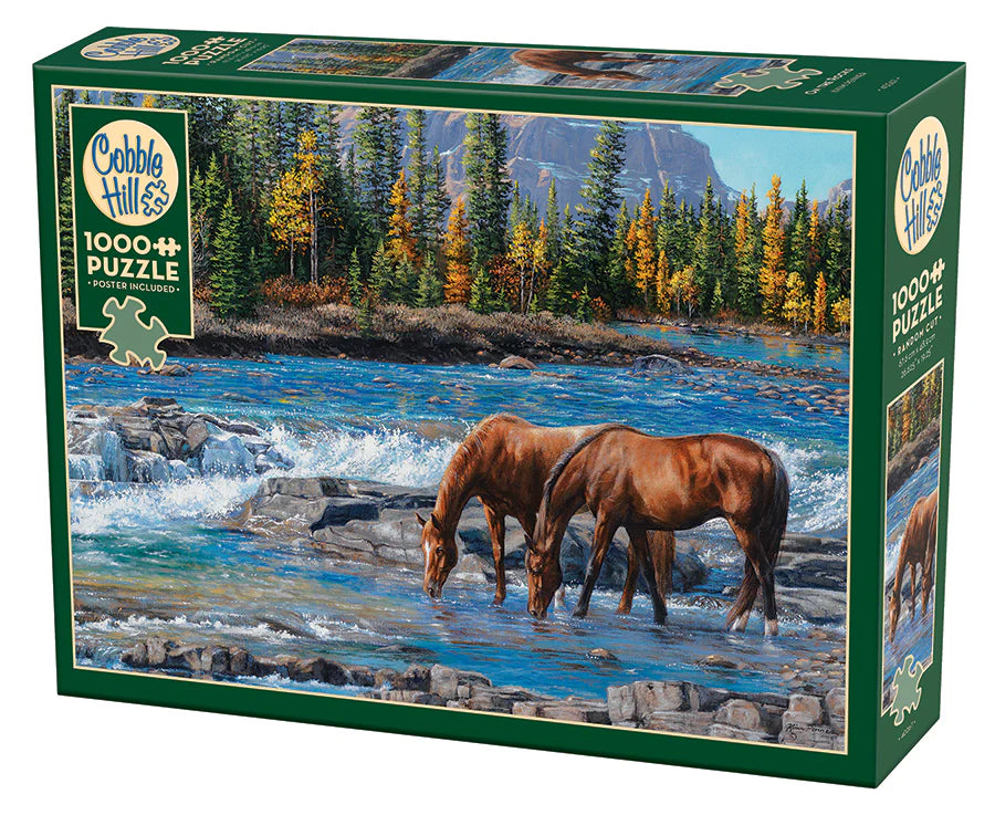 Outset Media - Puzzle: On the Rocks