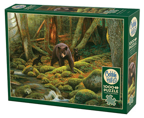 Outset Media - Puzzle: Mother Nature