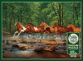 Outset Media - Puzzle Spring Creek Run