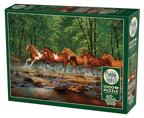 Outset Media - Puzzle Spring Creek Run