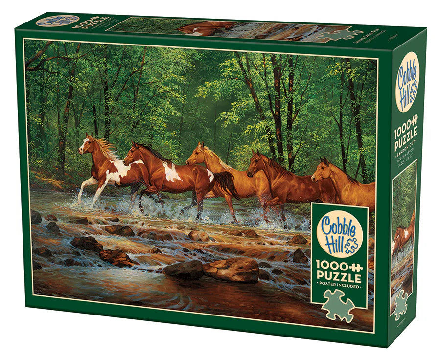 Outset Media - Puzzle Spring Creek Run