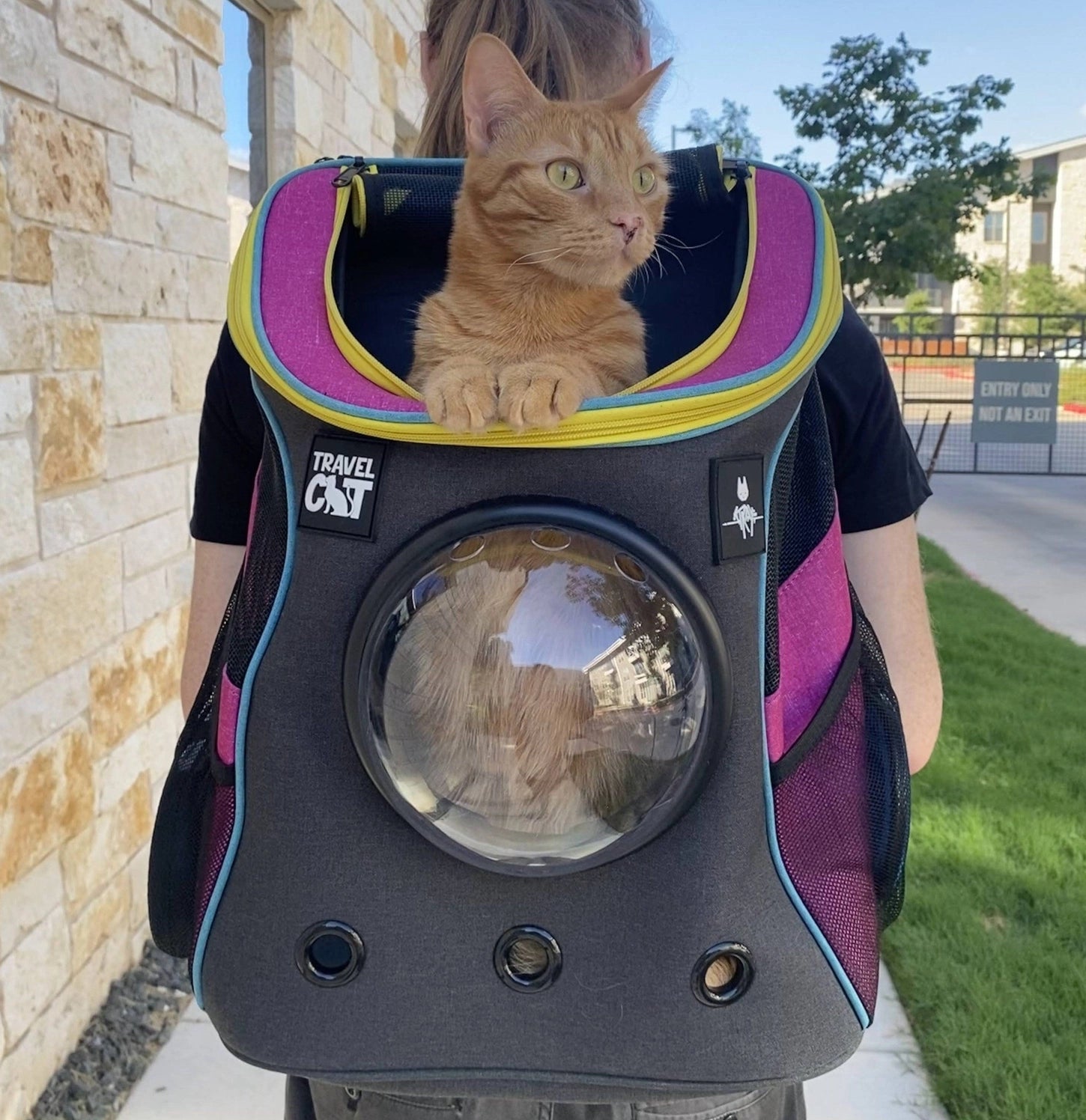 Travel Cat - Cat Backpack Stray x Travel