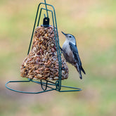 Mr. Bird - Seed Bell Hanger - Southern Agriculture 