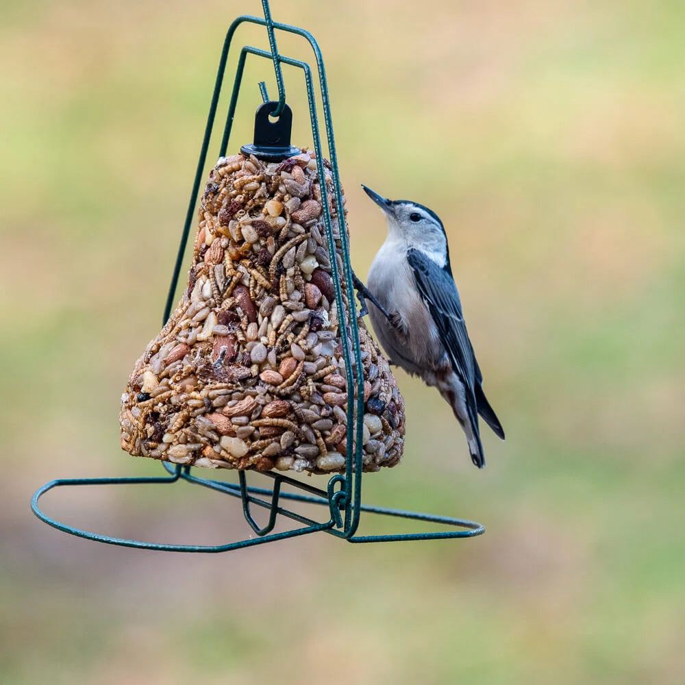 Mr. Bird - Bugs, Nuts, & Fruit Bell