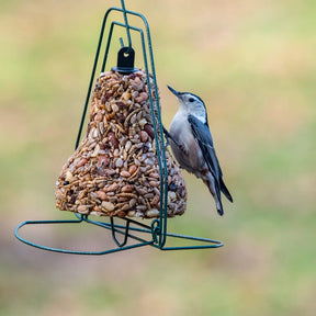 Mr. Bird - Bugs, Nuts, & Fruit Bell