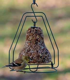 Mr. Bird - Bugs, Nuts, & Fruit Bell