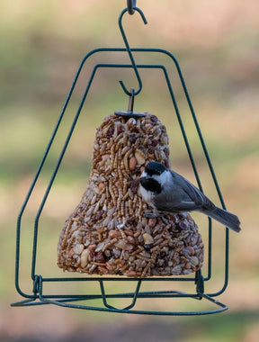 Mr. Bird - Bugs, Nuts, & Fruit Bell