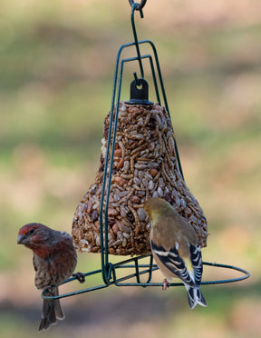 Mr. Bird - Seed Bell Hanger - Southern Agriculture 