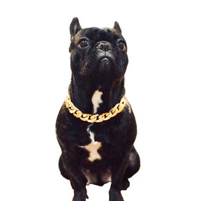 PawPaw Wholesale - Necklace Chain Gold