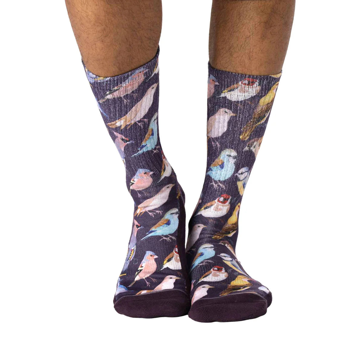 Good Luck Sock - Botanical Birds