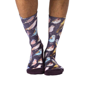 Good Luck Sock - Botanical Birds