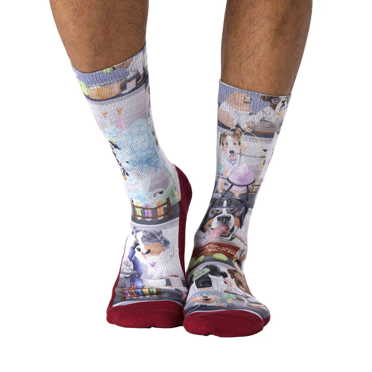 Good Luck Sock - Science Dogs